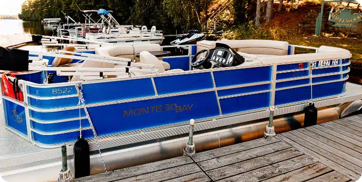 blue 20 foot pontoon boat